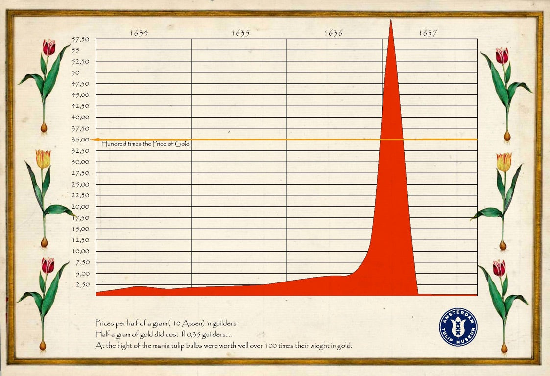 Tulip Mania Amsterdam Tulip Museum Price Graph