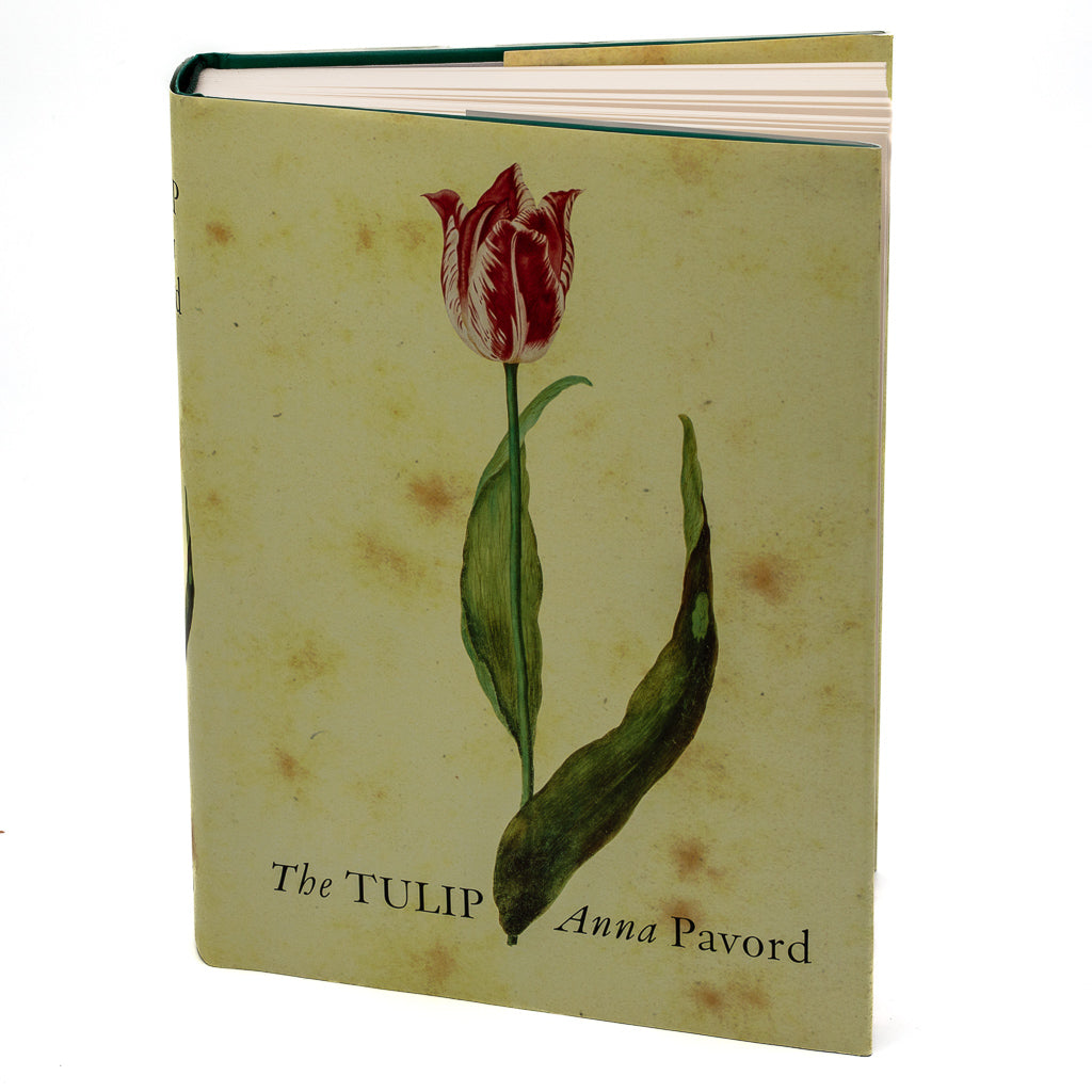The Tulip by Anna Pavord