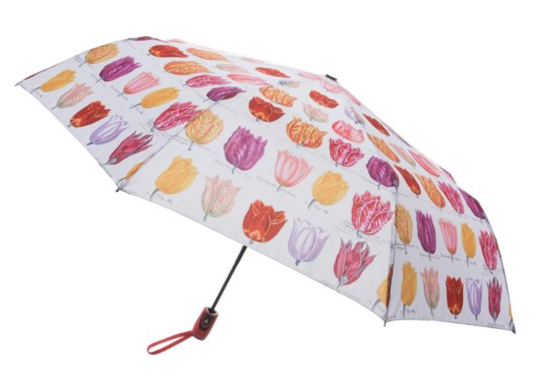 Umbrella with Tulip print