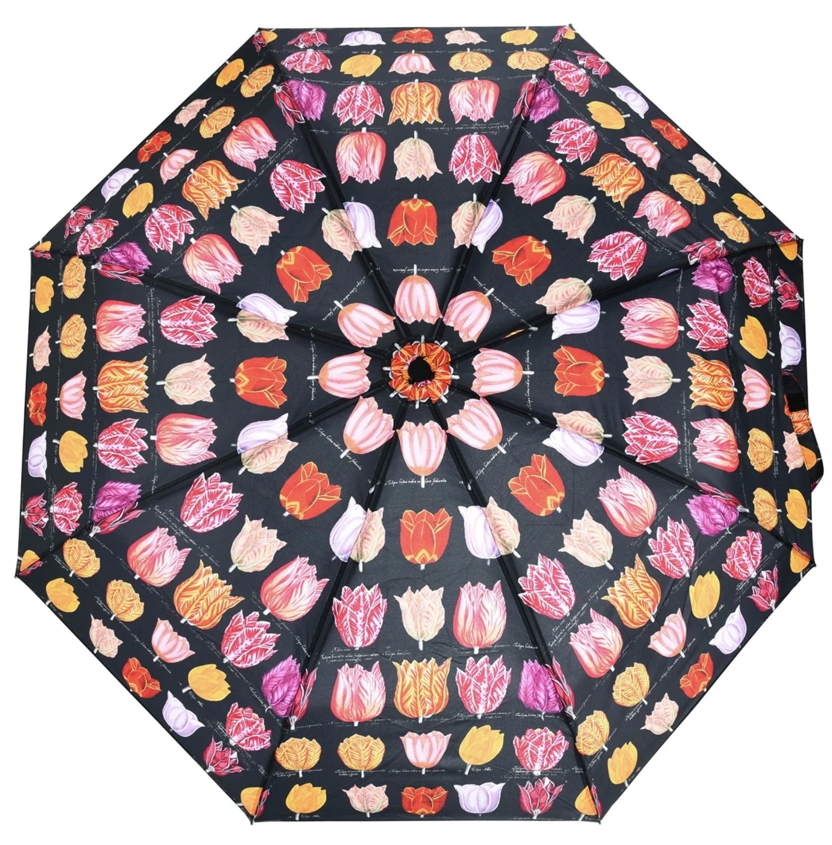 Umbrella with Tulip print