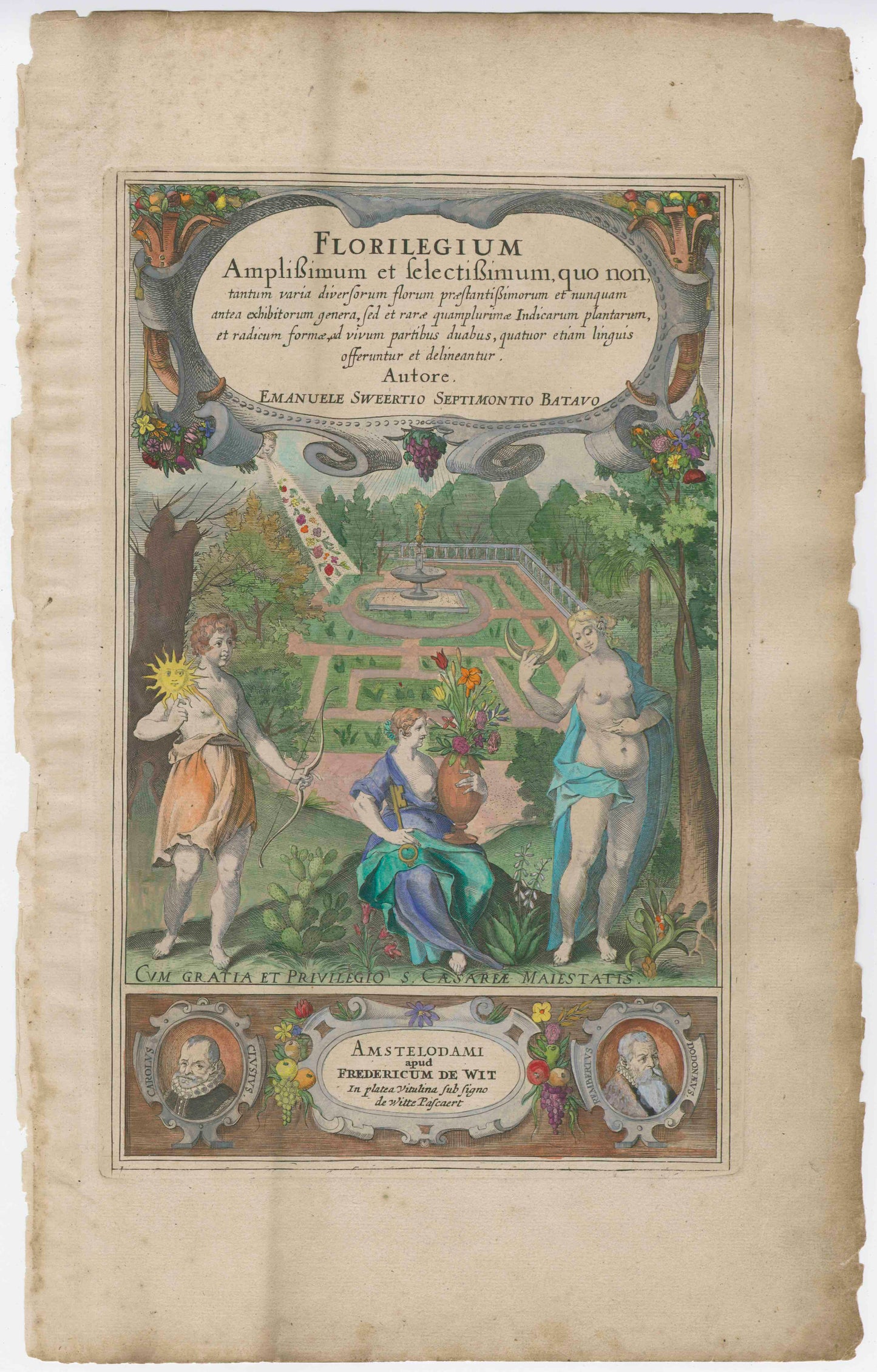 Emanuele Sweerts 17th Century "Florilegium" Print - Plate 64