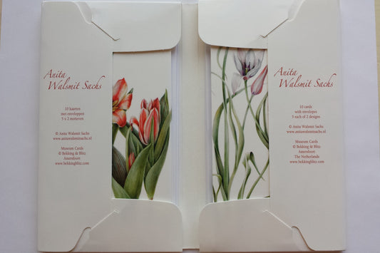 Tulip Book of Postcards by Anita Walsmit Sachs