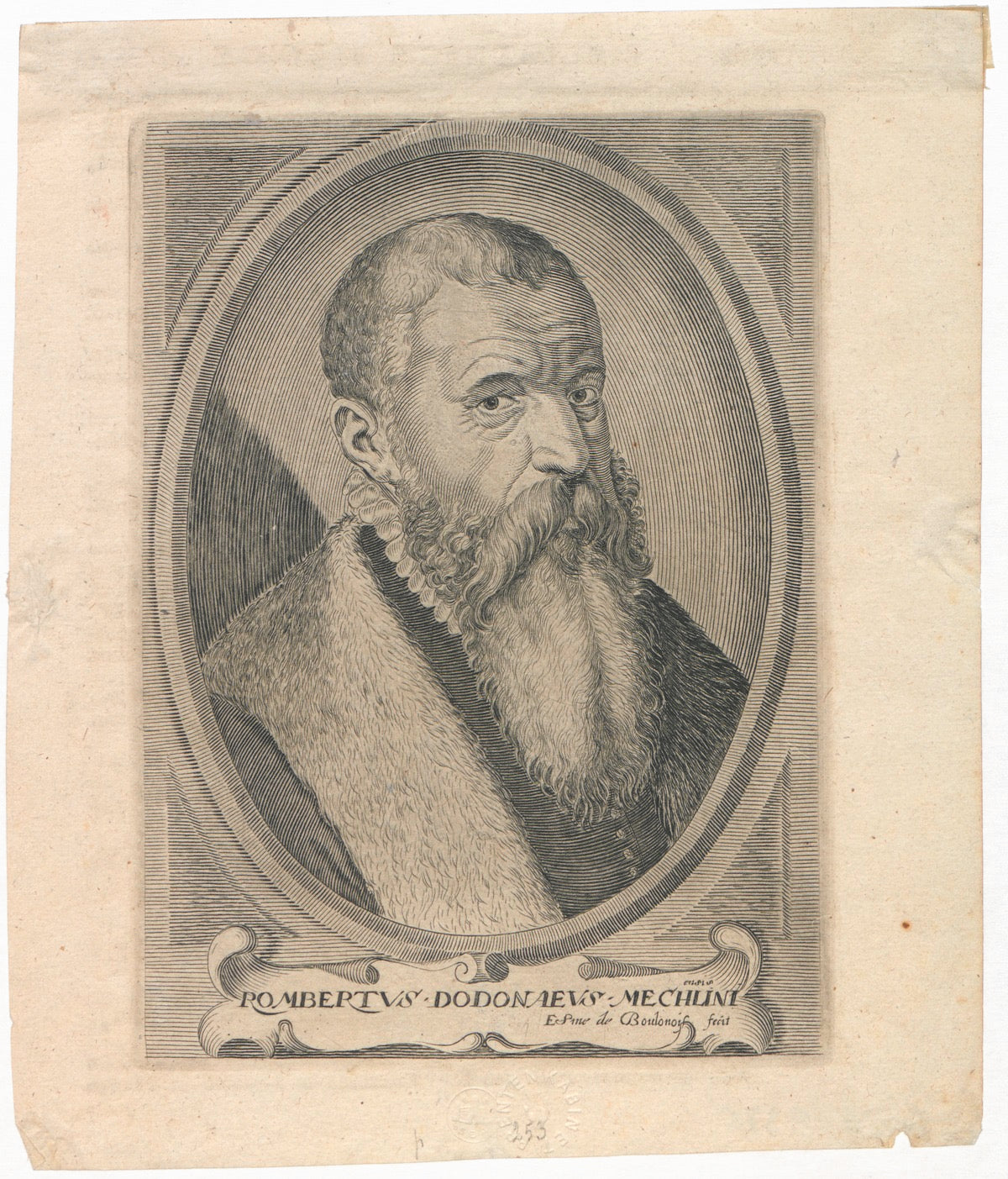 Emanuele Sweerts 17th Century "Florilegium" Print - Plate 26
