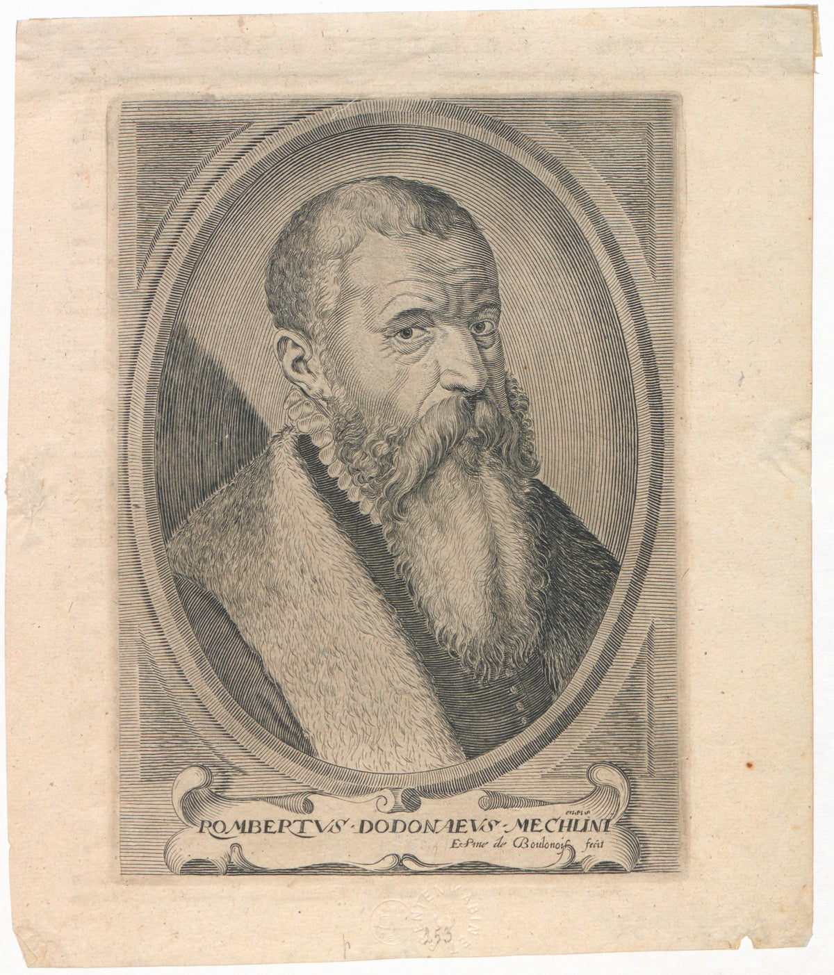 Emanuele Sweerts 17th Century "Florilegium" Print - Plate 40