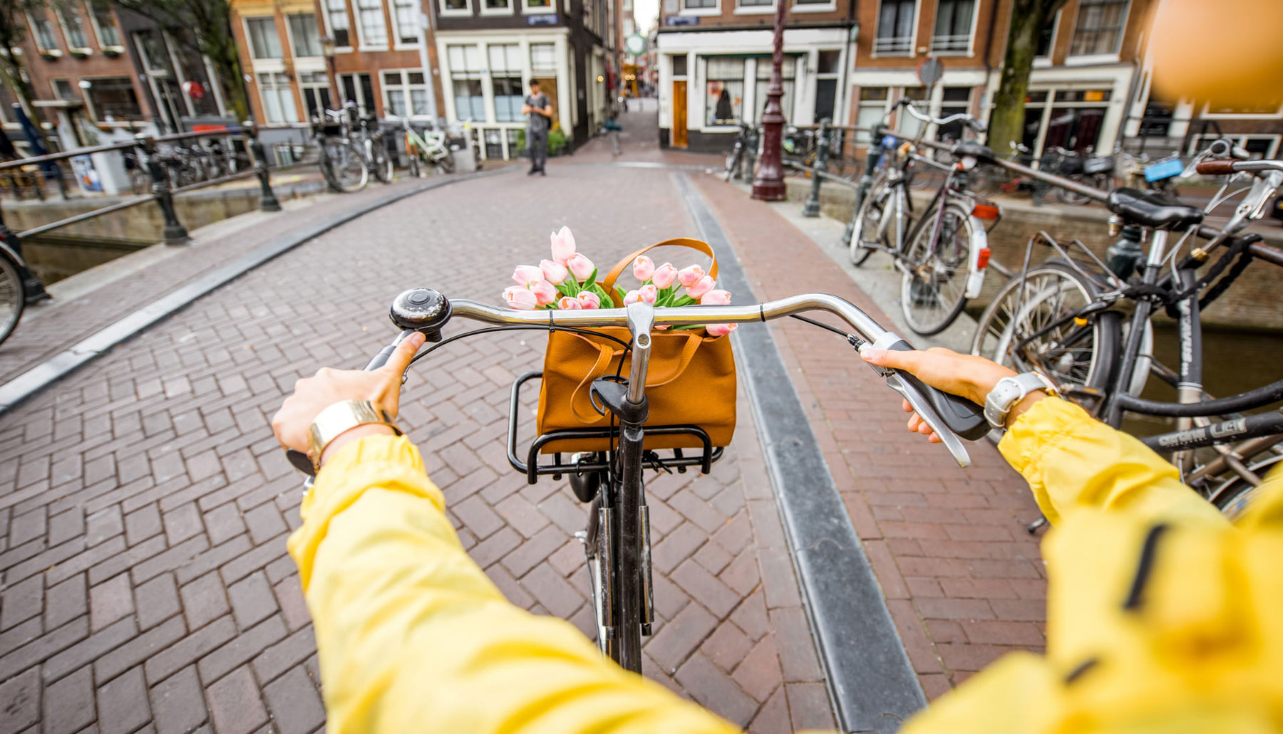 Amsterdam Tulip Museum The Story Of The Tulip