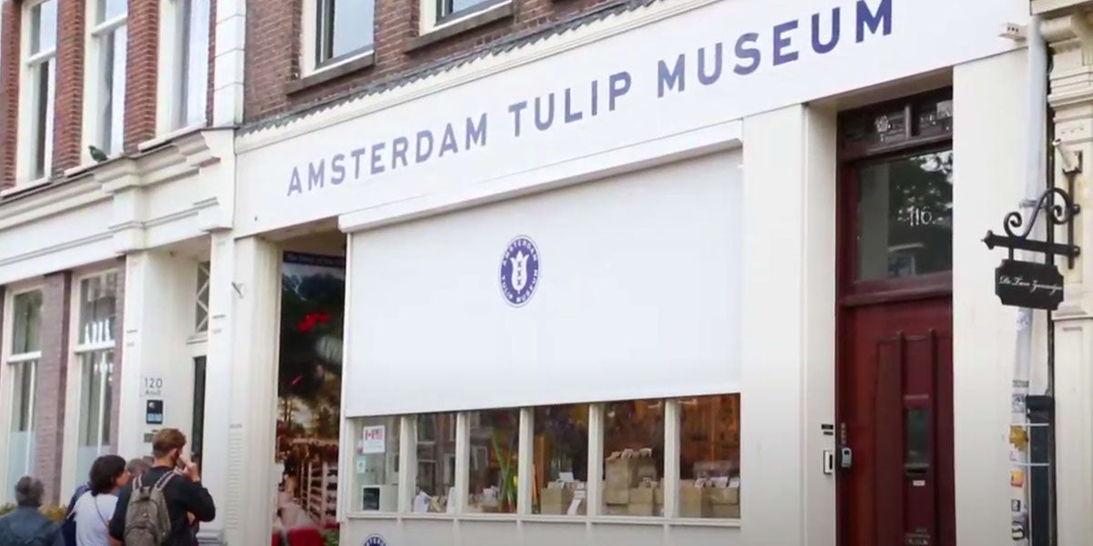 About the Museum Amsterdam Tulip Museum