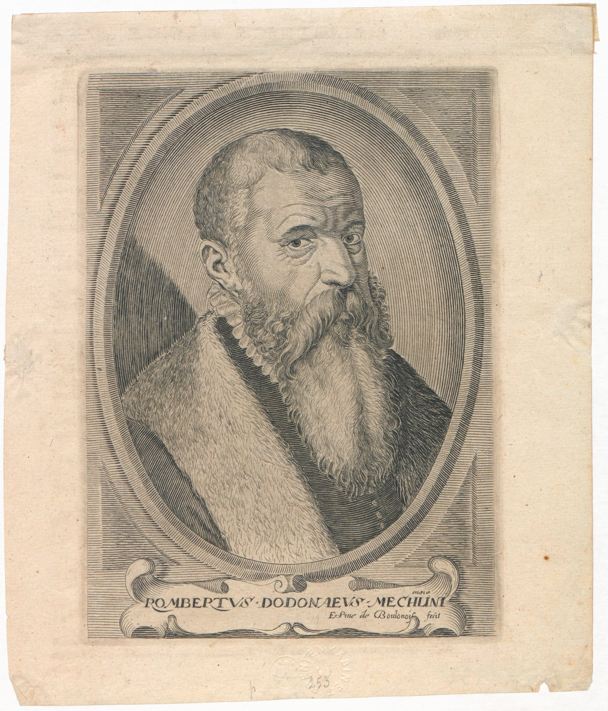 Emanuele Sweerts 17th Century "Florilegium" Print - Plate 55