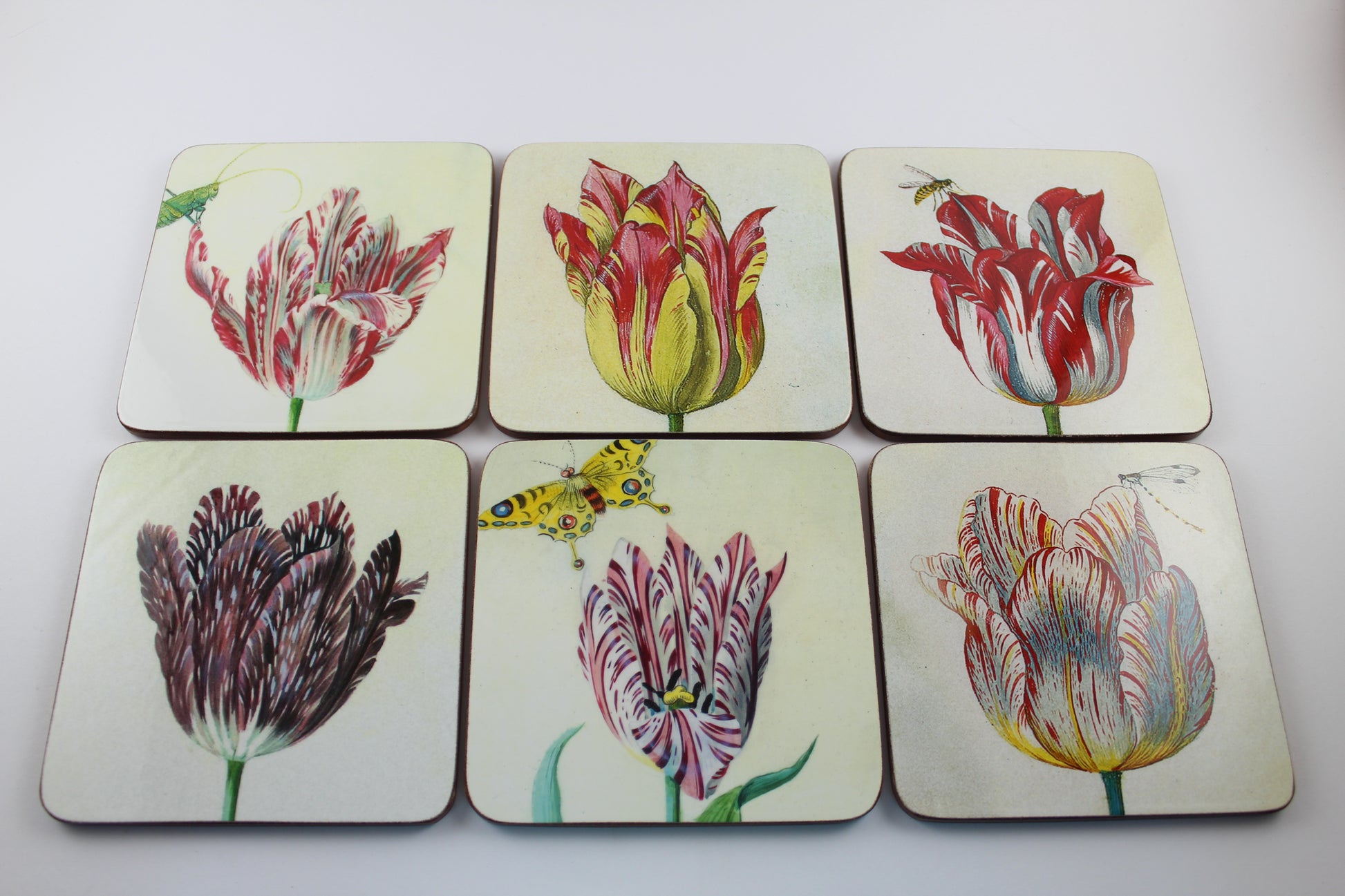 Amsterdam Tulip Museum Jacob Marrel Tulip Coaster Sleeve