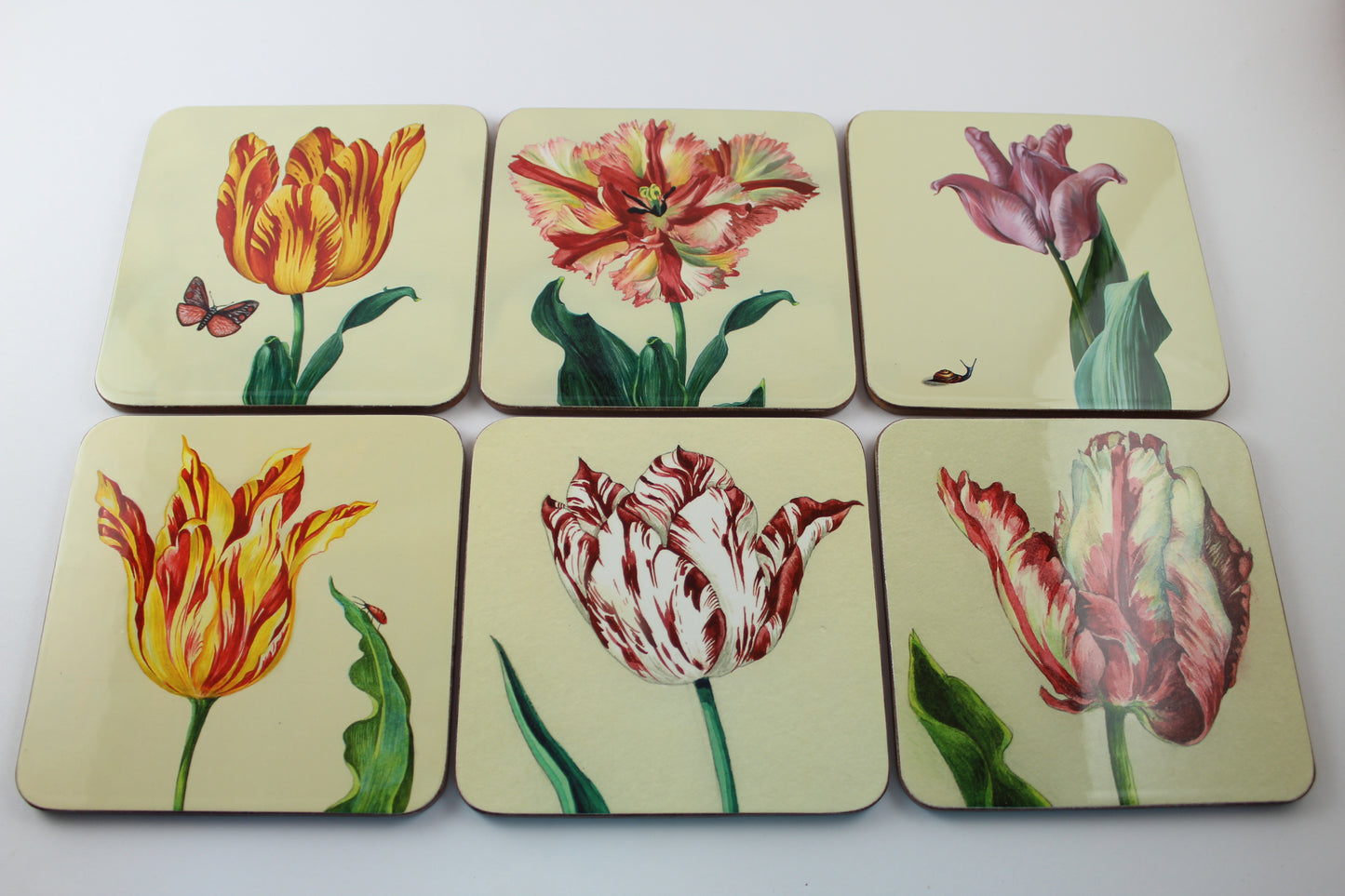 Amsterdam Tulip Museum Watercolor Tulips Coaster Sleeve