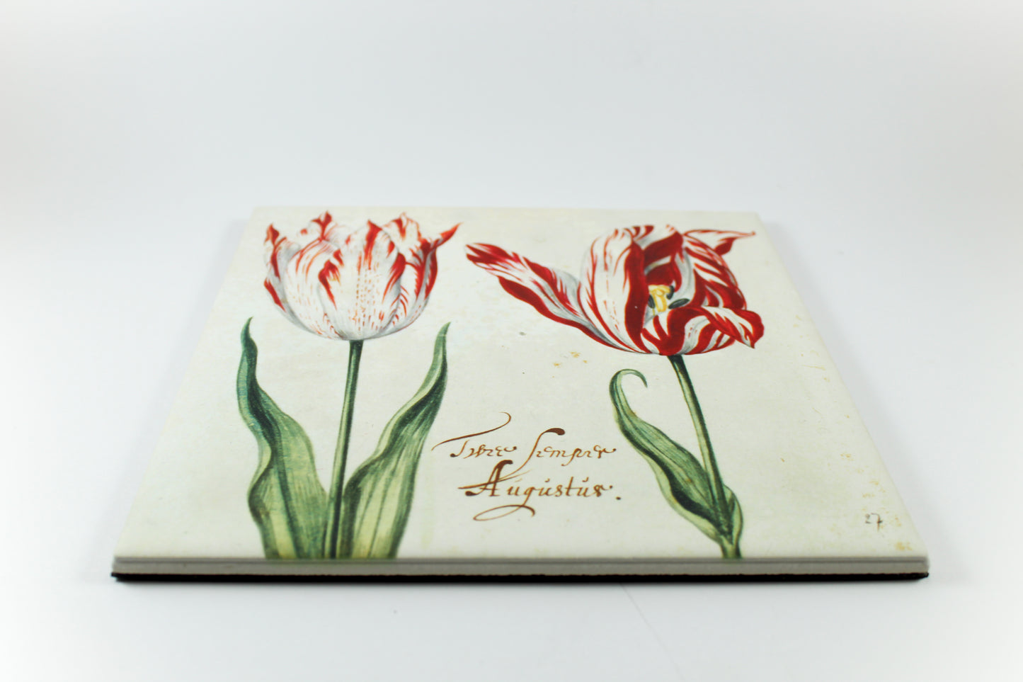 Amsterdam Tulip Museum Semper Augustus Tulip On White Ceramic Hot Plate Trivet Table Mat
