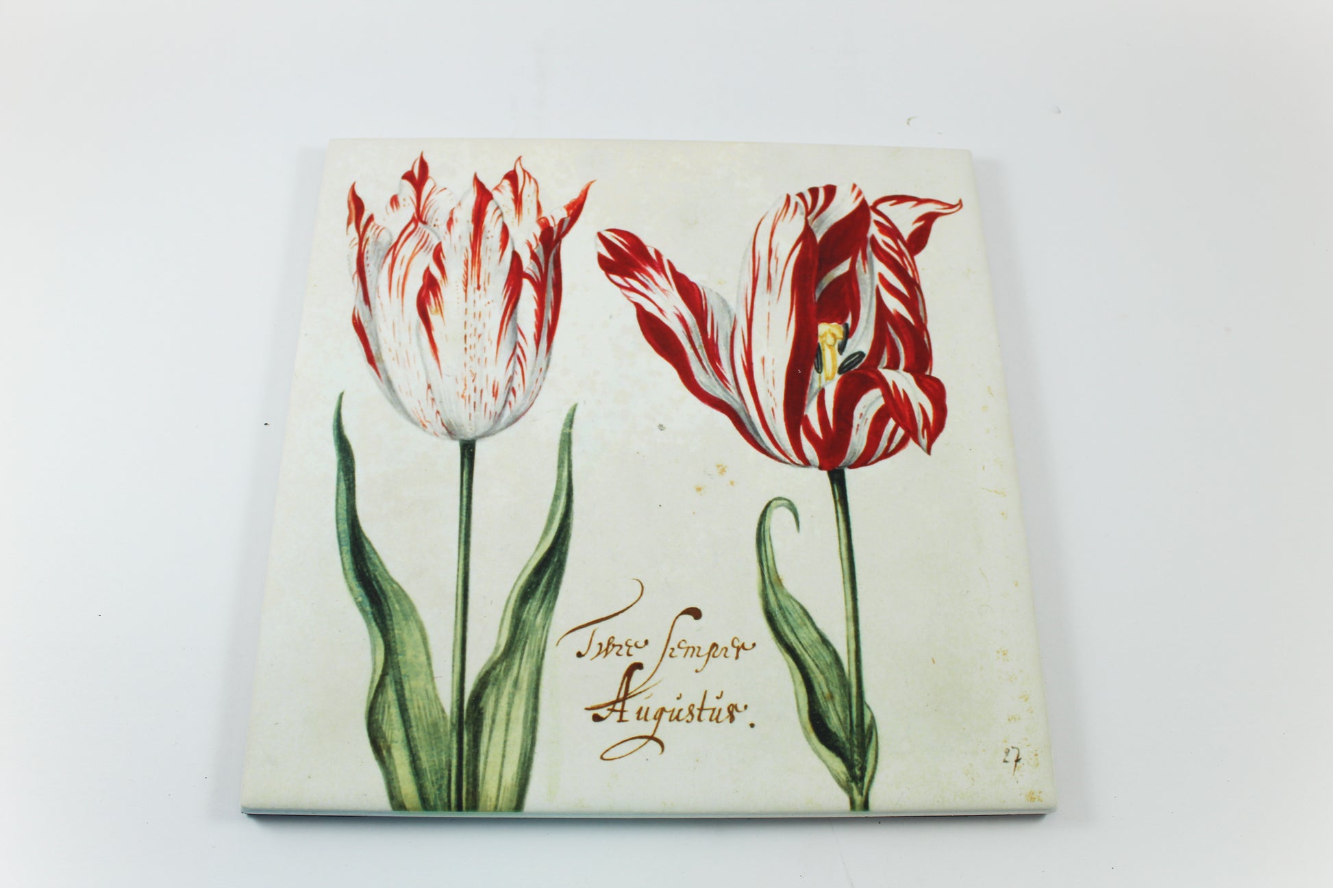 Amsterdam Tulip Museum Semper Augustus Tulip On White Ceramic Hot Plate Trivet Table Mat
