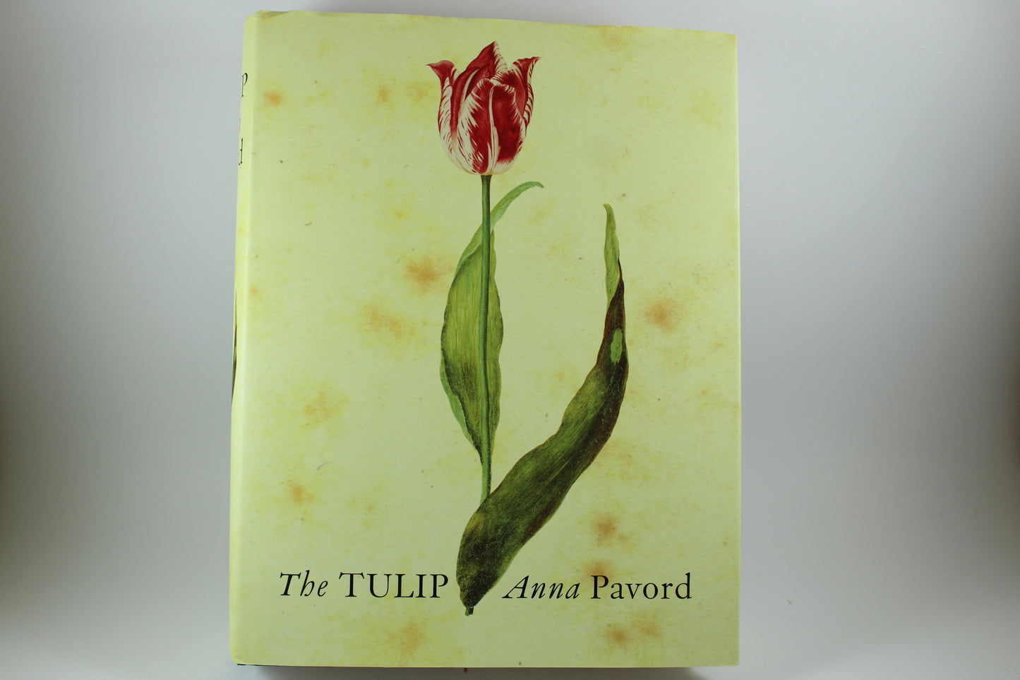 The Tulip by Anna Pavord Book