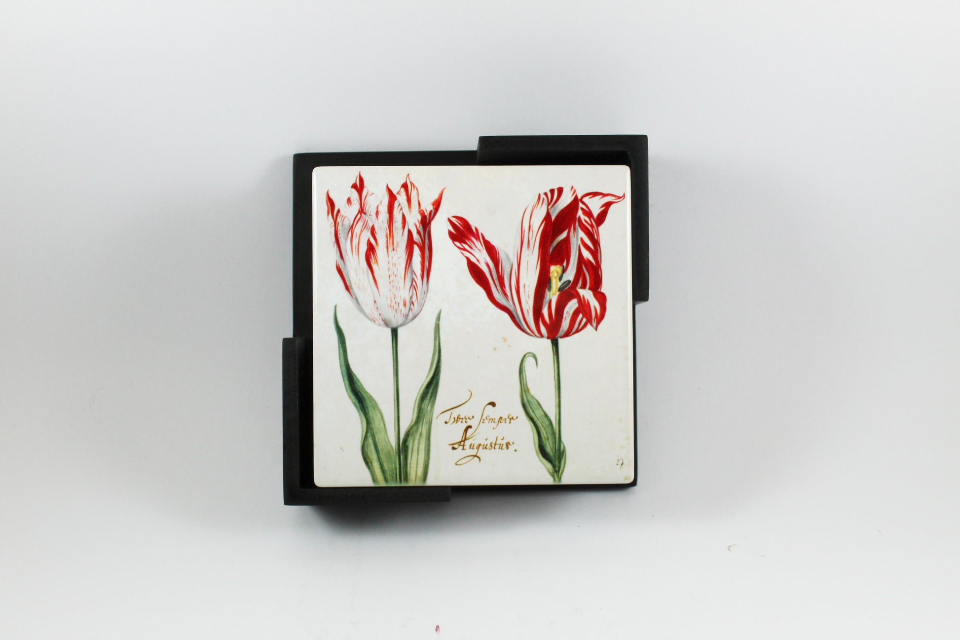 Amsterdam Tulip Museum Semper Augustus Tulip On White Ceramic Coaster Set